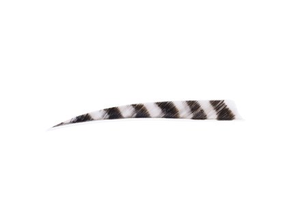 Trueflight Feathers 5" Shield RW Barred