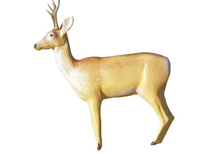 Eleven Target 3D Deer with Horns