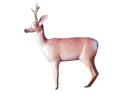 Eleven Target 3D Deer Dark with Horns