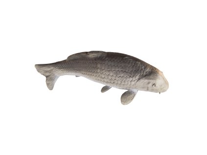 Eleven Target 3D Carp