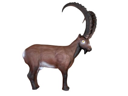 Eleven Target 3D Ibex with Insert and Horns