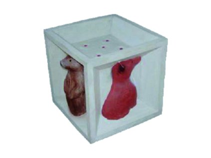 Eleven Portable Target 3D Hyper Cube