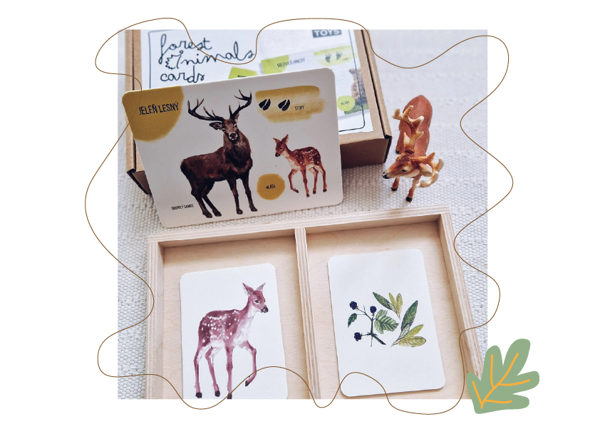 Objavte prírodu s novými edukačnými kartičkami lesných zvierat!