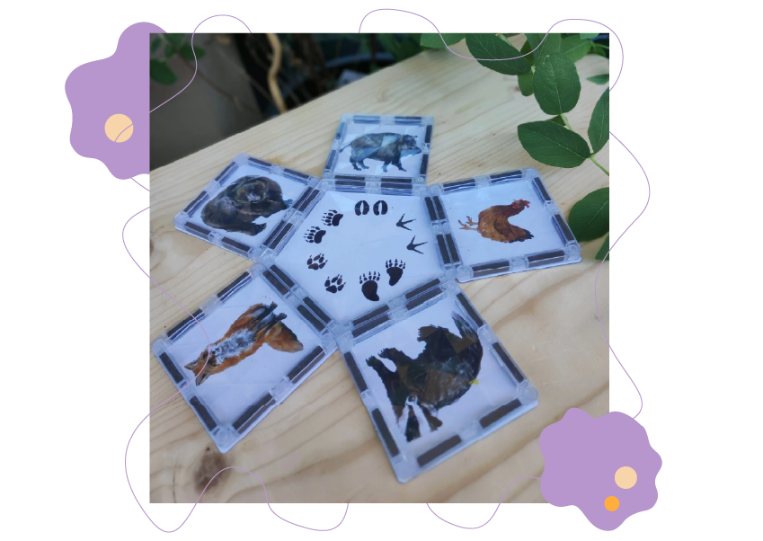 Objavte magické možnosti s magnetickou stavebnicou COLORMAG CLEAR