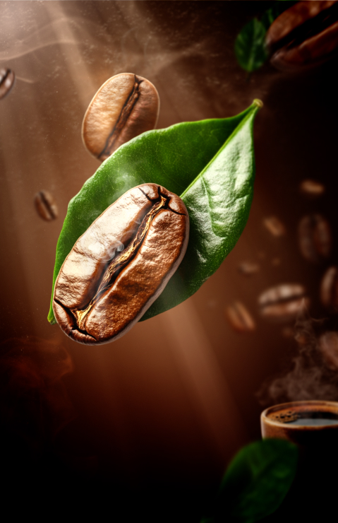 Kaffeebohne auf einem Blatt platziert, weitere Bohnen im Hintergrund