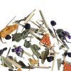 lemon mint kraeutertee naturbelassen loser tee althaustea 02