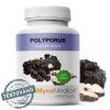 polyporus detail s razitkem 2.1025759333