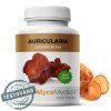 auricularia detail s razitkem 2.1025759333