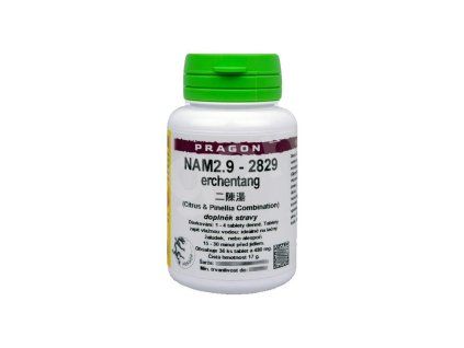 nam2 9 erchentang pian tablety pragon