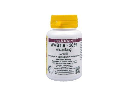 wab1 9 erxiantang pian tablety pragon