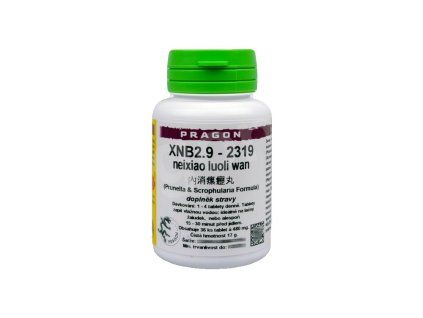 xnb2 9 neixiao luoli wan pian tablety pragon
