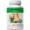 mycogastro vypis 3.1646628311