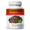 coriolus 50 vypis 2.1646628311