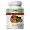 chaga 50 vypis 2.1646628311