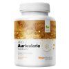 celek 0013 auricularia kopie.1646628311
