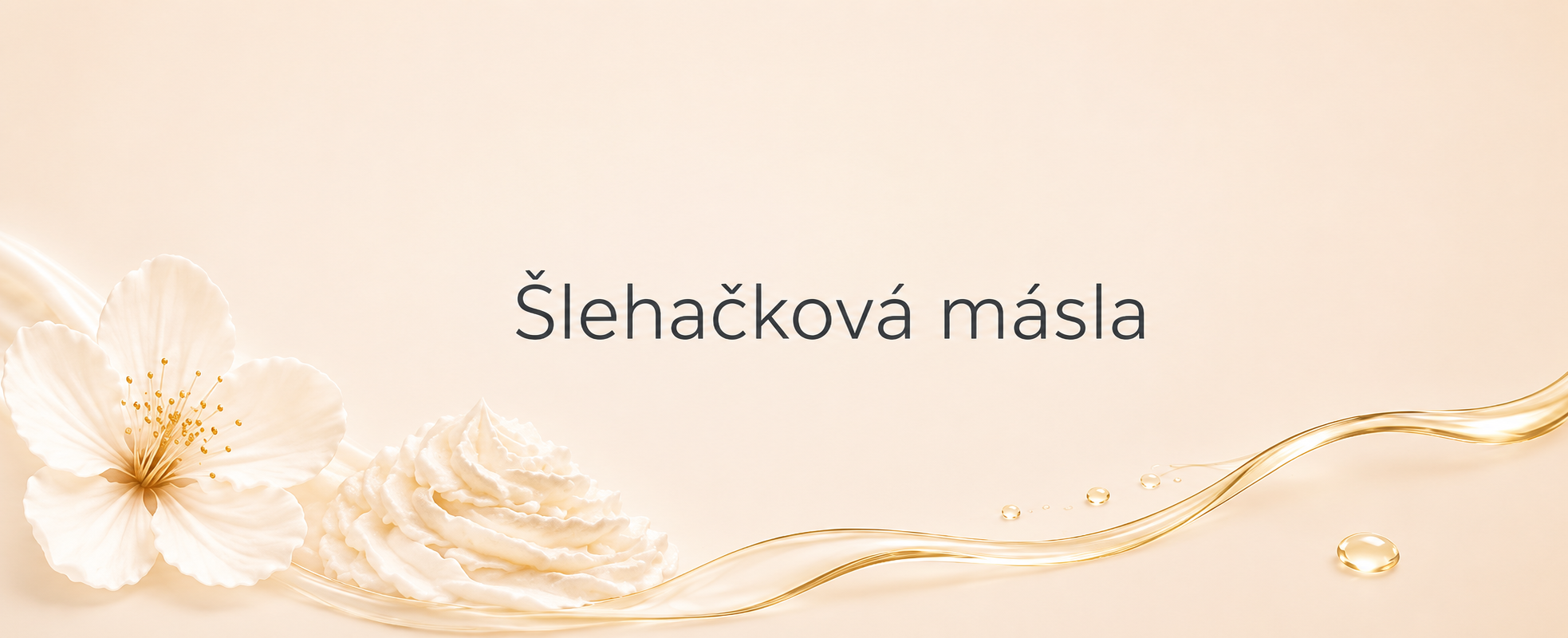 Test 1 Slehacka