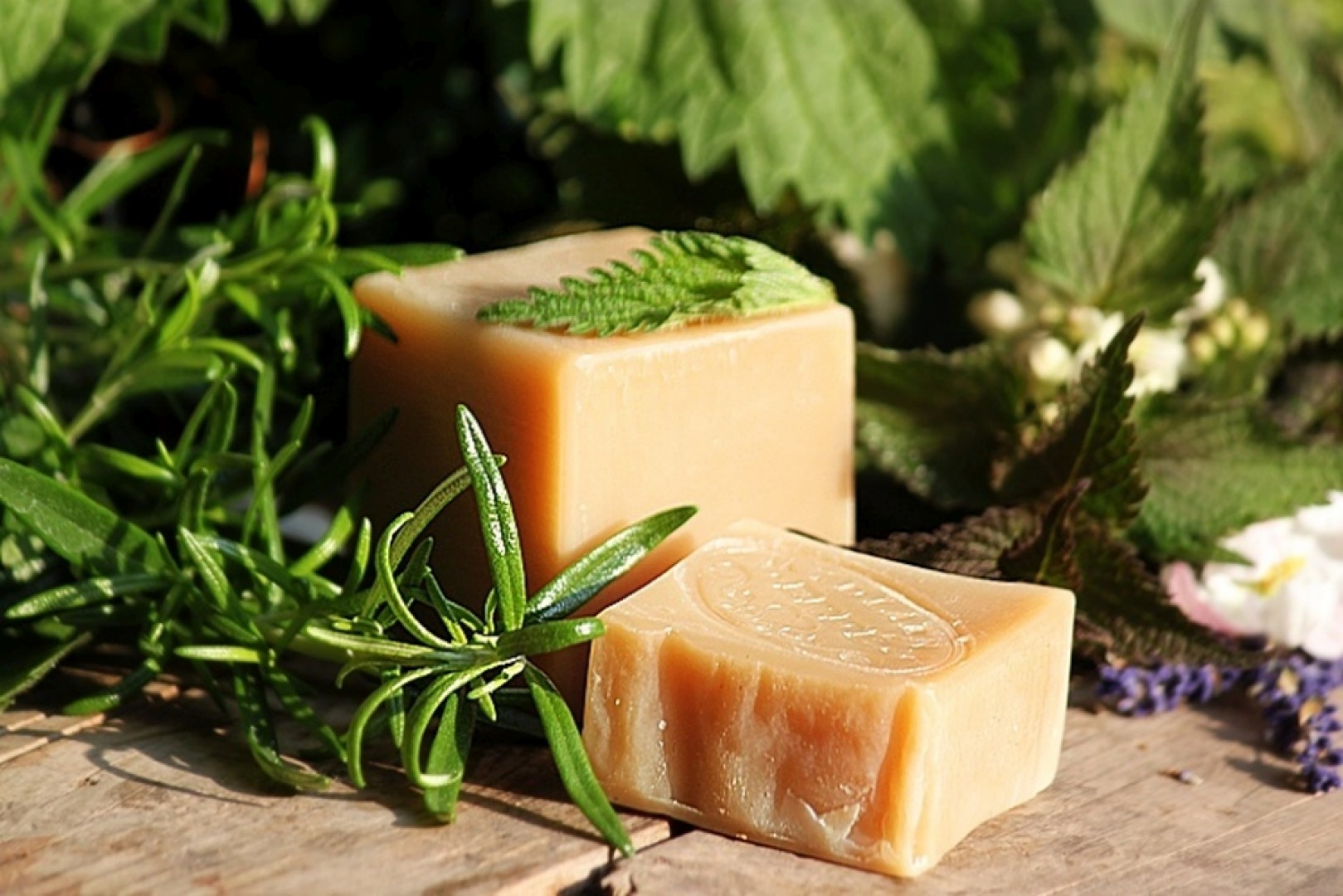 ŠAMPUK VERSUS MÝDLOVÝ TUHÝ ŠAMPON I.