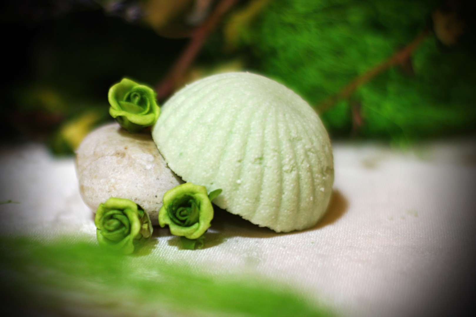 Proč NE - jednodruhový (SCS) šampuk ?