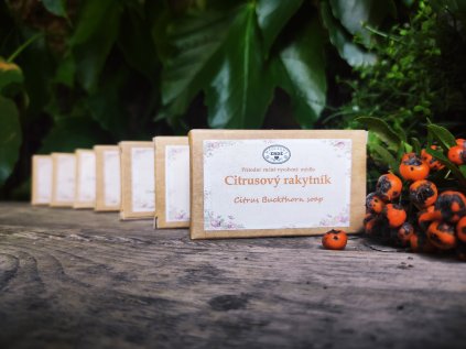 Přírodní mýdlo Citrusový rakytník 25g v krabičce