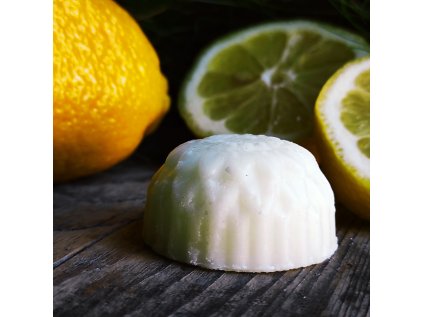 Citron 50g tuhý kondicionér  na vlasy v sáčku