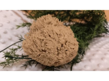 Přírodní mořská houba Mořská vlna 5 - 7 cm