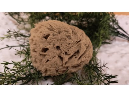 Přírodní mořská houba Mořská vlna 9 - 11 cm