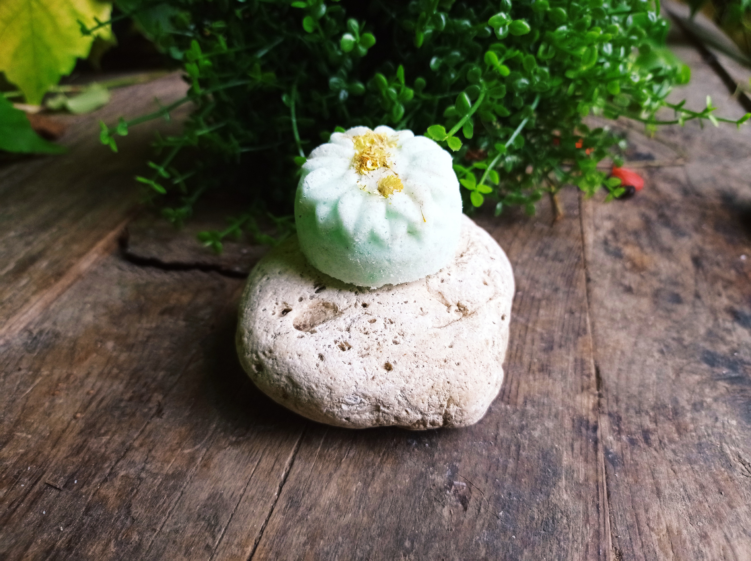 Litsea Cubeba  šumivá bombička 25 g