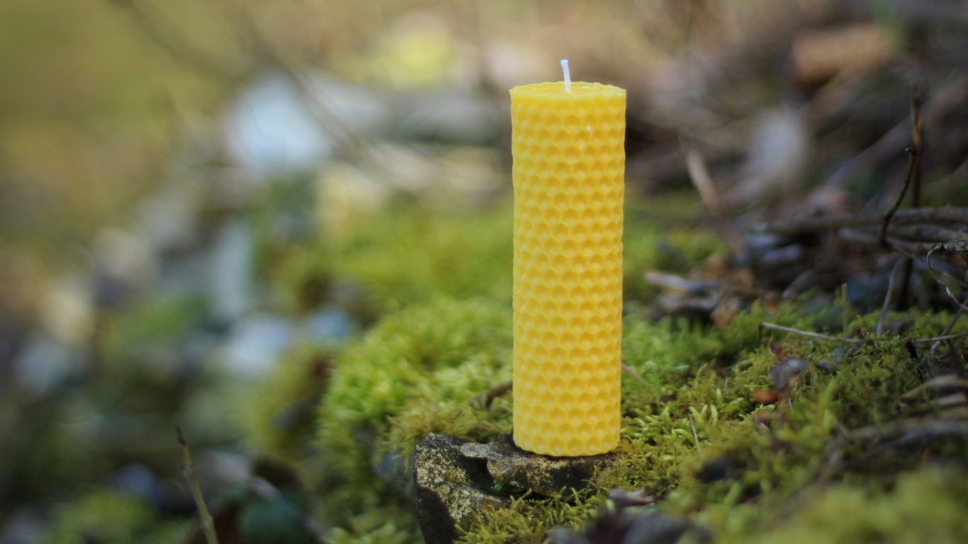 Svíčka z včelího vosku