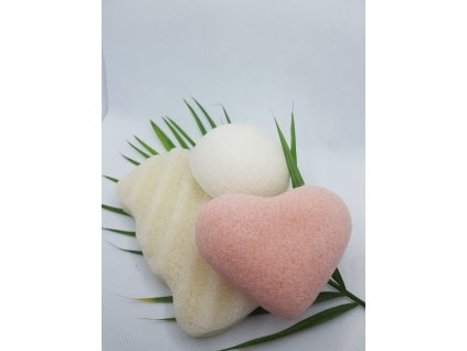 Konjaková houbička