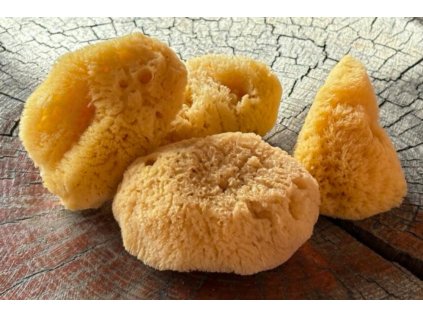 Mořská houba kosmetická 6x8 cm