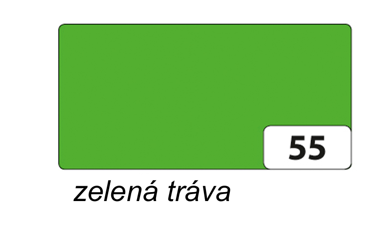 Folia - Max Bringmann Barevný papír - jednotlivé barvy - 130 g/m2, 50x70 cm Barva: zelená tráva