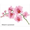 Diamond Dotz DD6.034 - Diamantové malování - Orchidej