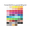 Barevný papír - jednotlivé barvy - 220 g/m2, 50x70 cm