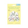 Anděl Přerov 835 - Smršťovací dekorace na velikonoční vajíčka - motiv Luční květy, 12 ks