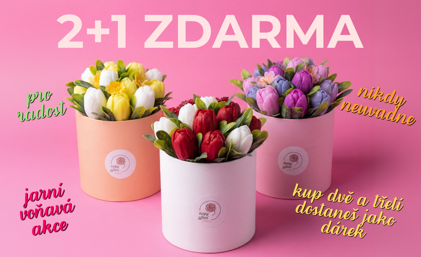 Akce 2+1 zdarma na jarní výzdobu tulipánů
