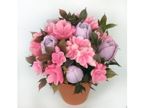 sakura 1