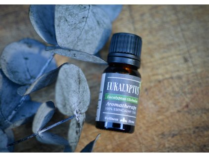 Eukalyptus. Es. Olej