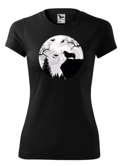 Snímek obrazovky 2023 01 13 v 15.04.44