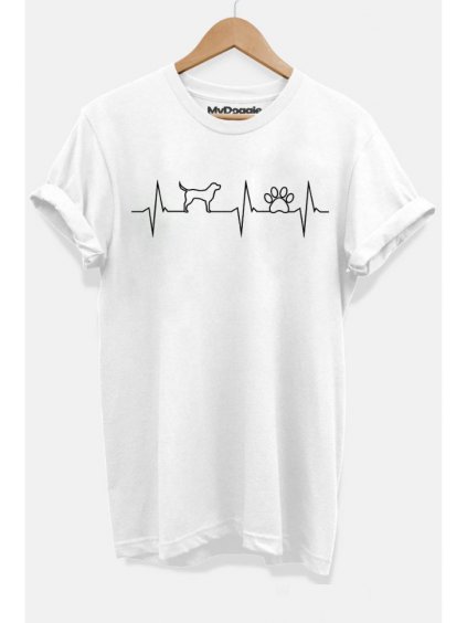 Snímek obrazovky 2023 01 22 v 13.14.10