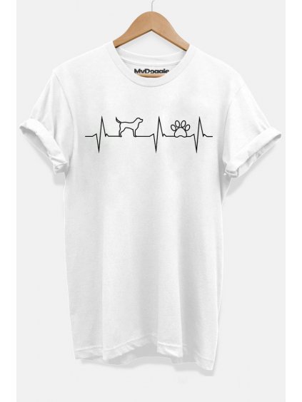 Labrador dog rate bílá D