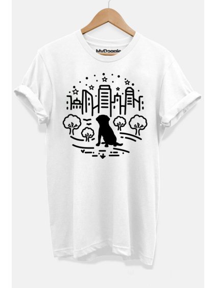 Labrador pesMěsto bílá DP