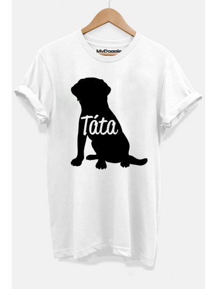 Labrador táta bílá P