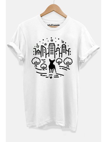 Čivava PesMěsto bílá DP