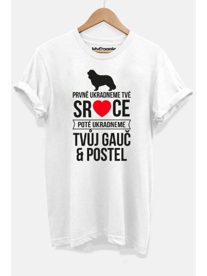 Kavalír UkradenéSrdce bílá D