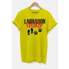 Labrador walker žlutá D