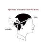 Spravne meranie obvodu hlavy