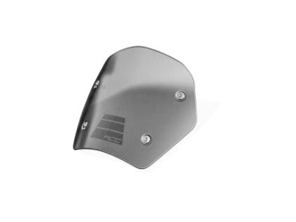 Tinted sports plexiglass R1300GS for models with ACC