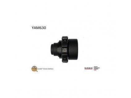 Super Tenere 1200 Kaoko mechanical cruise control