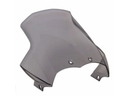 Tinted plexiglass R1200GS 2004-2012