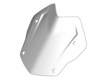 Plexiglass R1200GS / R1250GS LC Rally